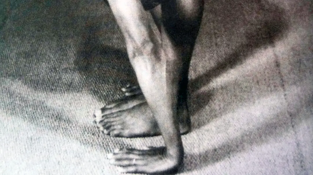 YogaOwl - Ashtanga Yoga, Yoga Iyengar et yoga prénatal à Lyon 7