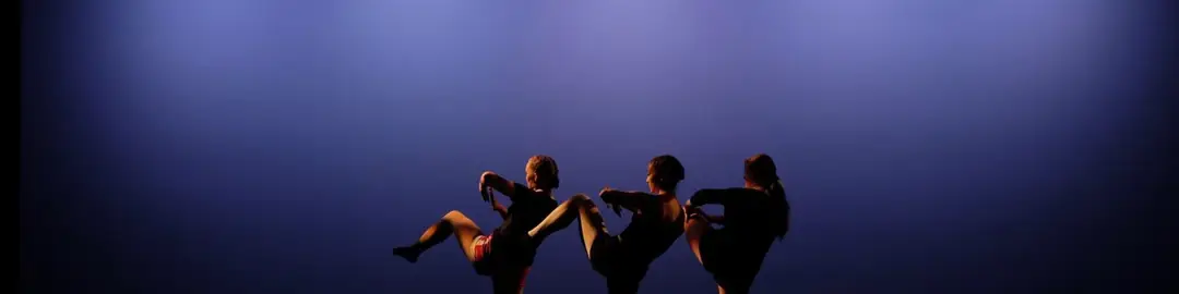 Veselka Ukrainian Dance Assn