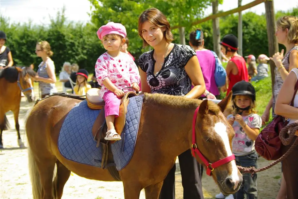 Equestrian Center Écurie Du Rubis Pension Horse And Pony Club