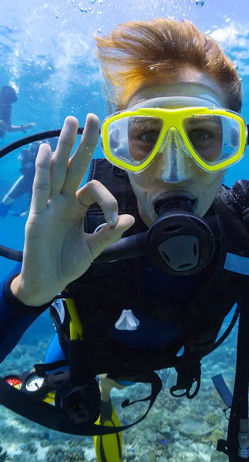 BLUE LIFE DIVING