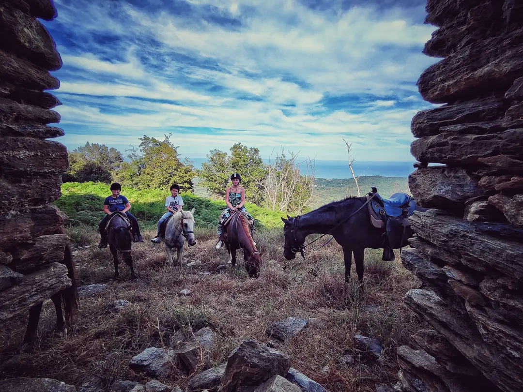 Ranch Tavagn'A Cavallu balade et baignade à cheval en corse