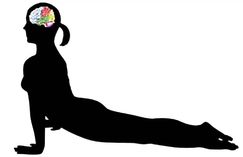 Studio Pleinement Yoga