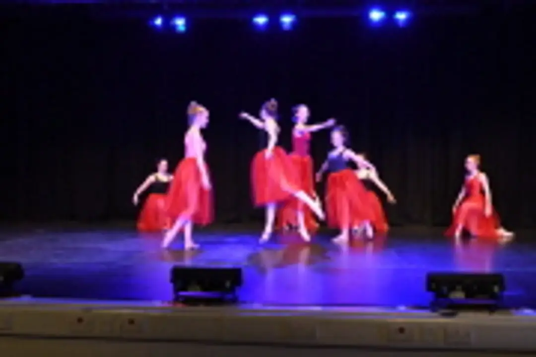 The Dance Bank