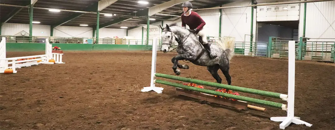 Lewis Hawkes Arena
