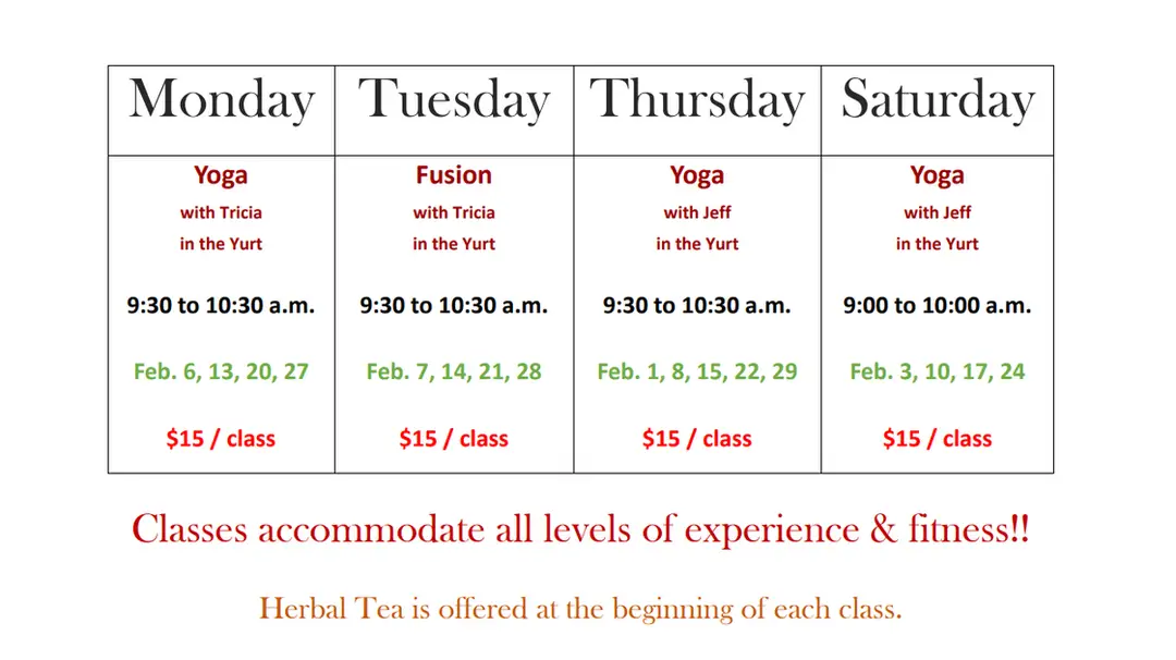 Zeal Holistic Health