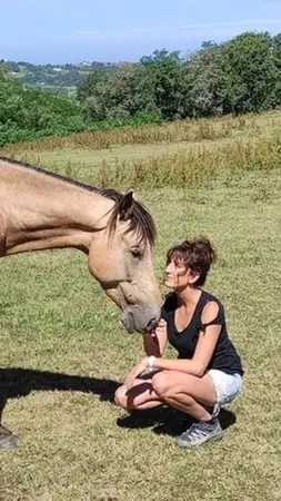 HASPARREN EQUITATION