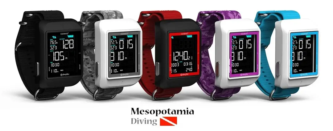 mesopotamia diving