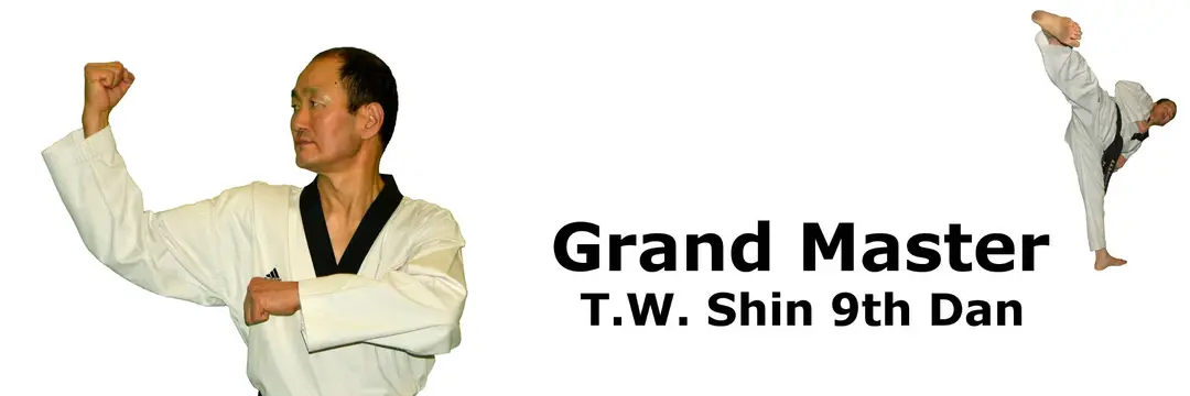 Shins TKD Academy