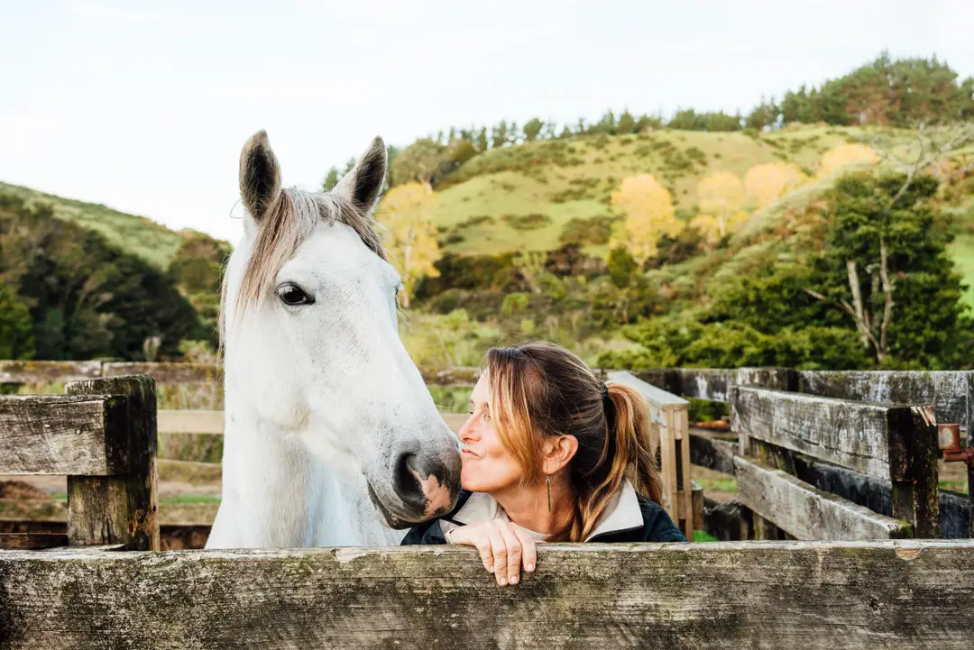 Horse Treks at The Farm
