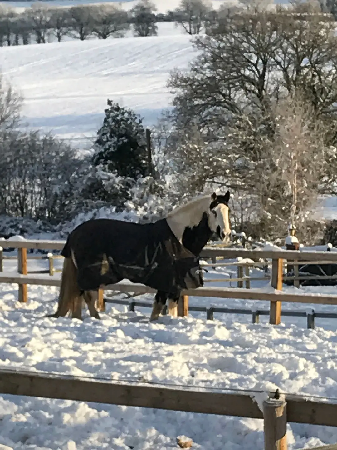 Birch Farm Livery