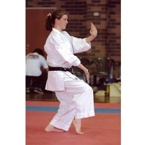 Karate Academy of Japan Gojuryu Shailer Park