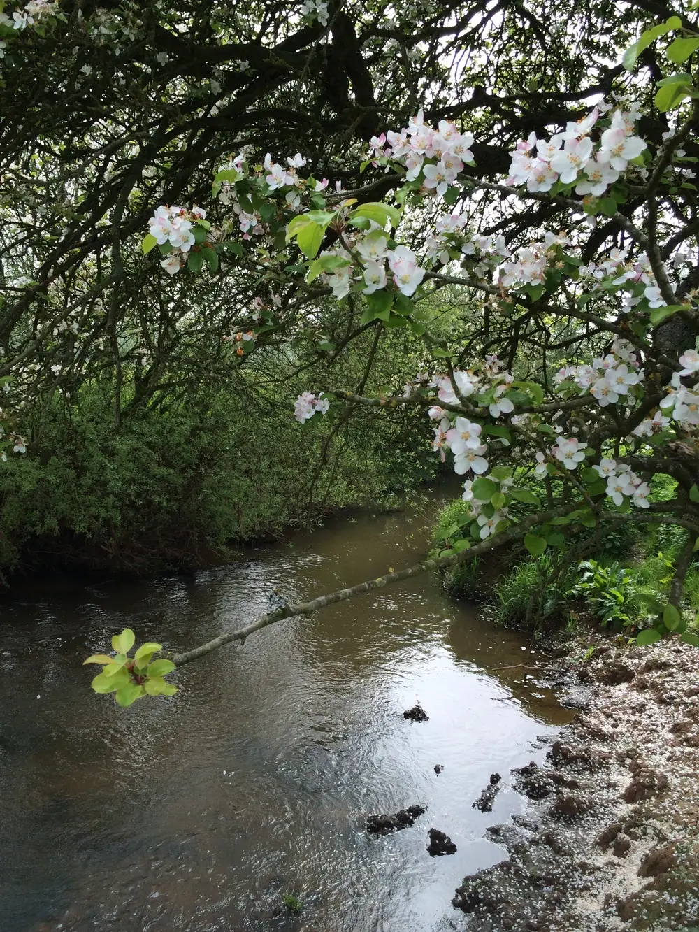 Gloucester Angling Club