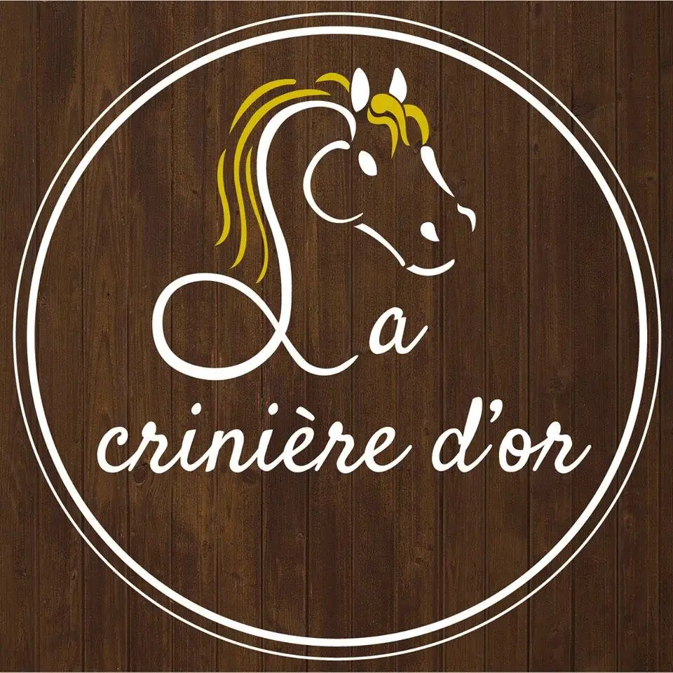 School Riding La Crinire D'or
