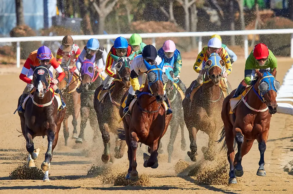 Pingrup Race Club