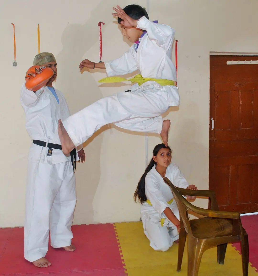 International Karate Federation HP