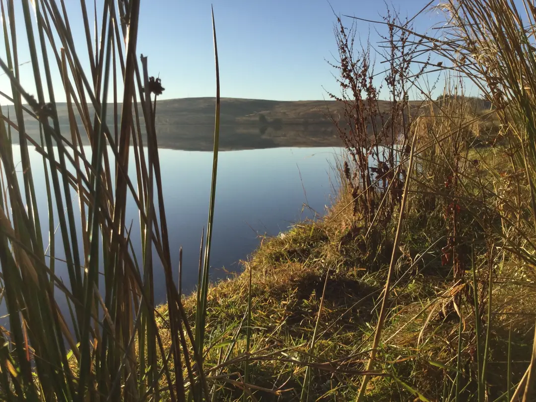 Watch Fly Reservoir