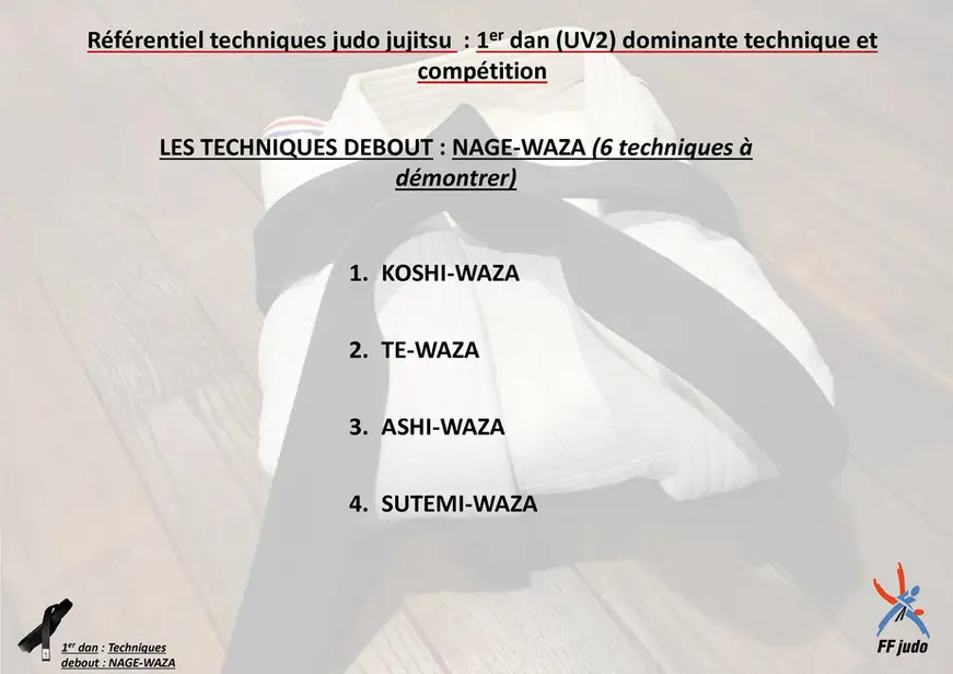 ORTHEZ ARTS MARTIAUX - Dojo des Soarns (judo, jujitsu, jodo, kendo)