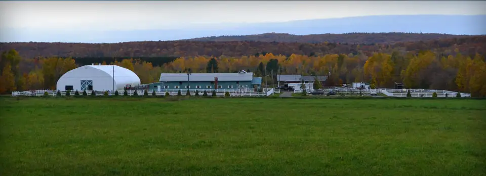 MD Stables