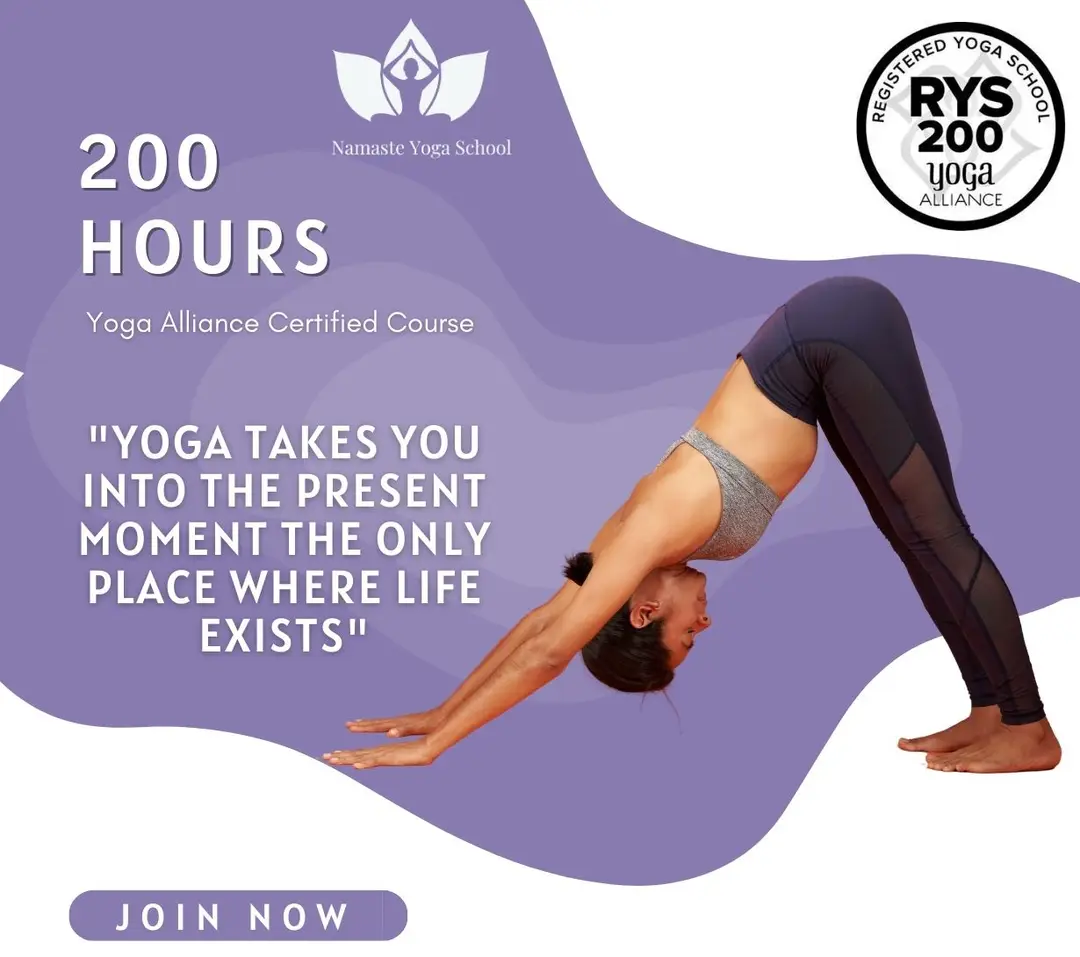 Namaste Yoga School - Yoga Teacher Training Course India
