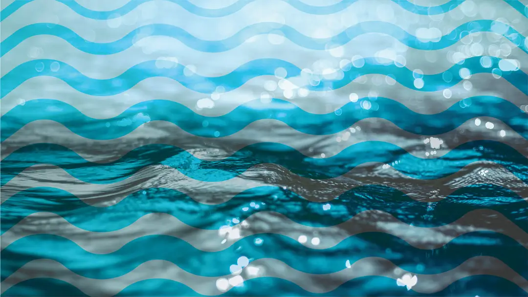 Swim Lakeside