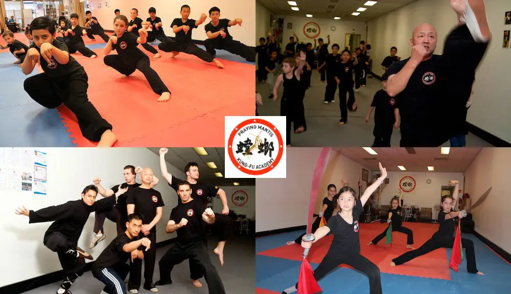 Kung Fu Republic