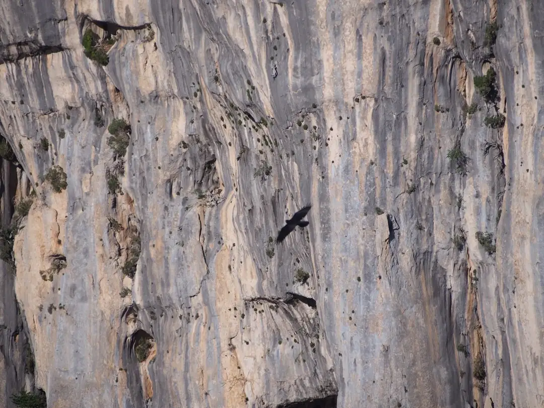Blocs de Carsac