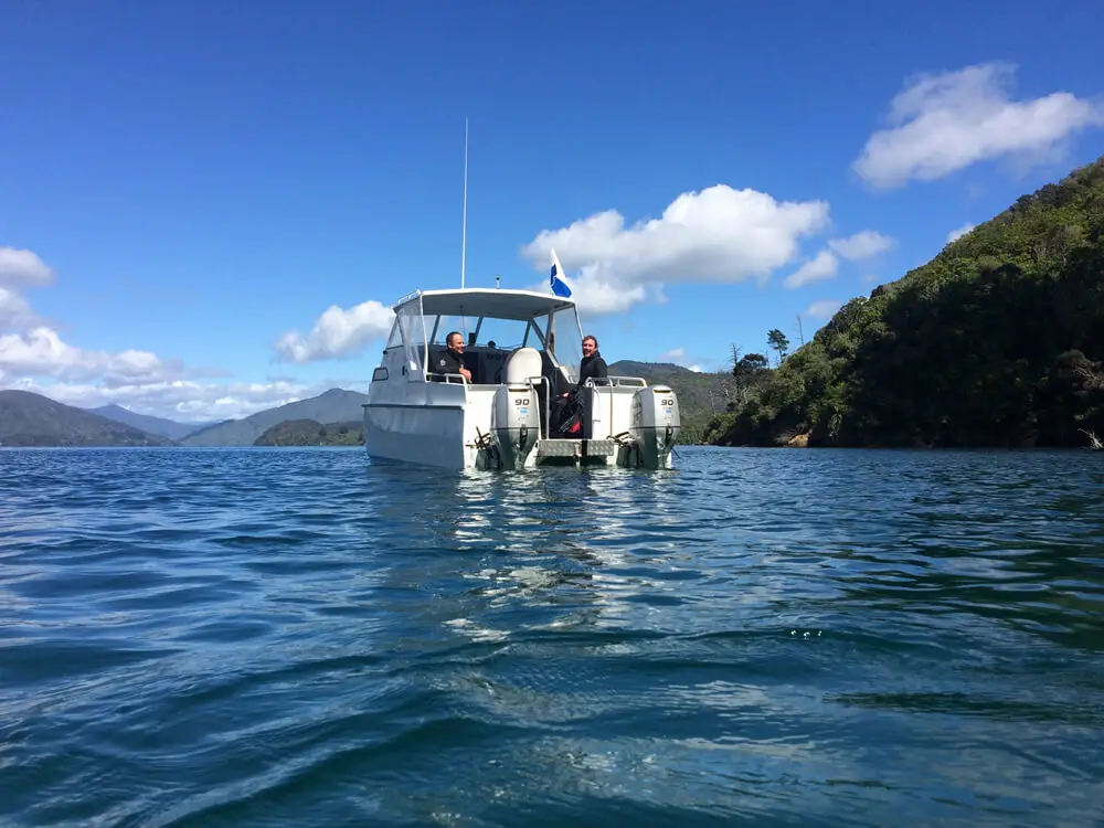 Blenheim Dive Centre