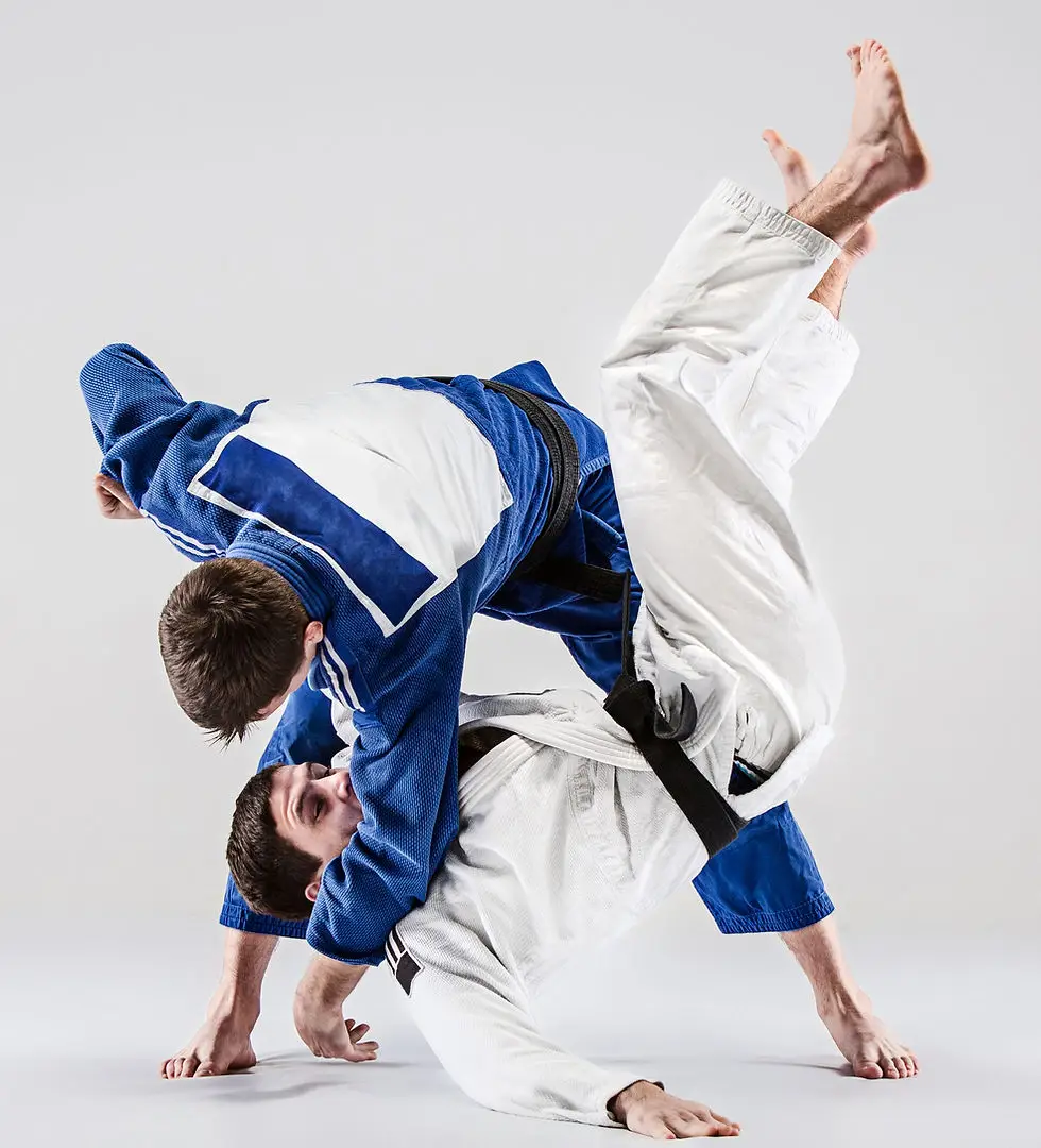 Dojo De Tullins Fures
