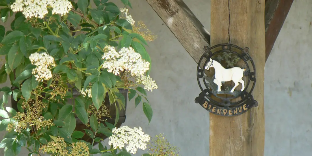 LA VALLEE DES CERFS