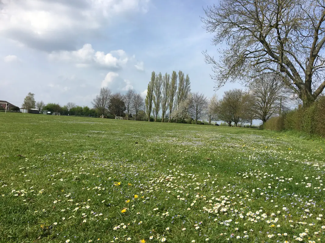 Seend Lye Field