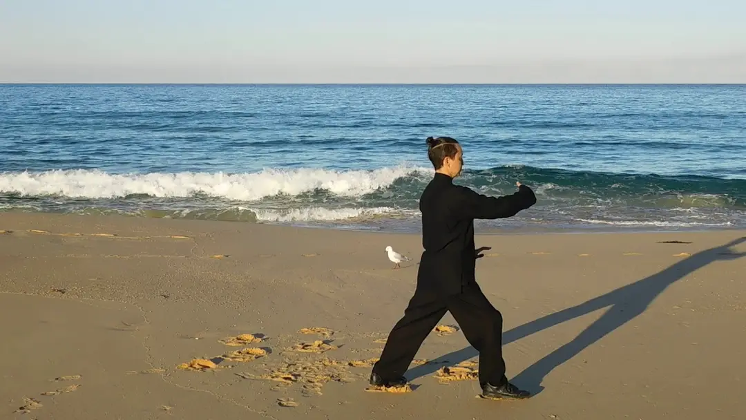 Sapphire Academy of Tai Chi & Meditation