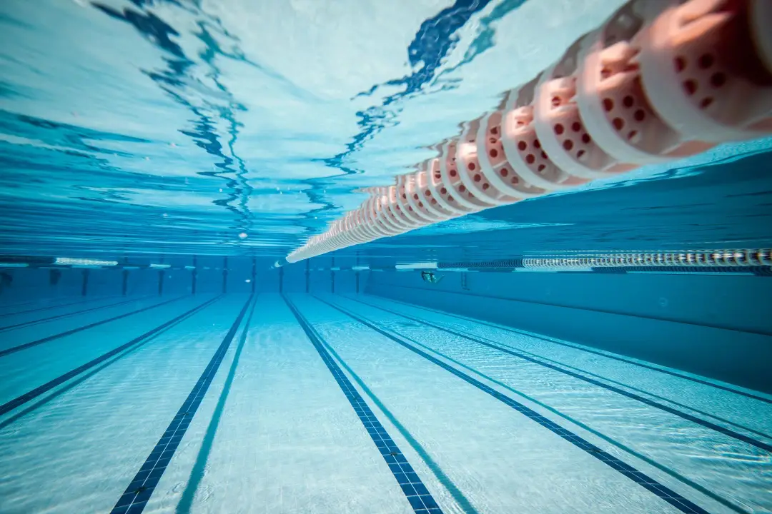 Swim Kids Of Scugog