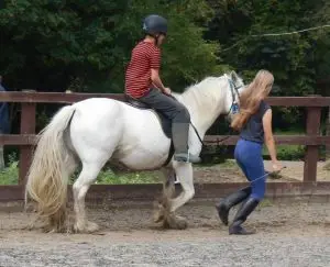 New Lodge Riding Centre