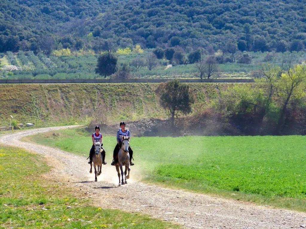 CENTRE EQUESTRE LA FENIERE