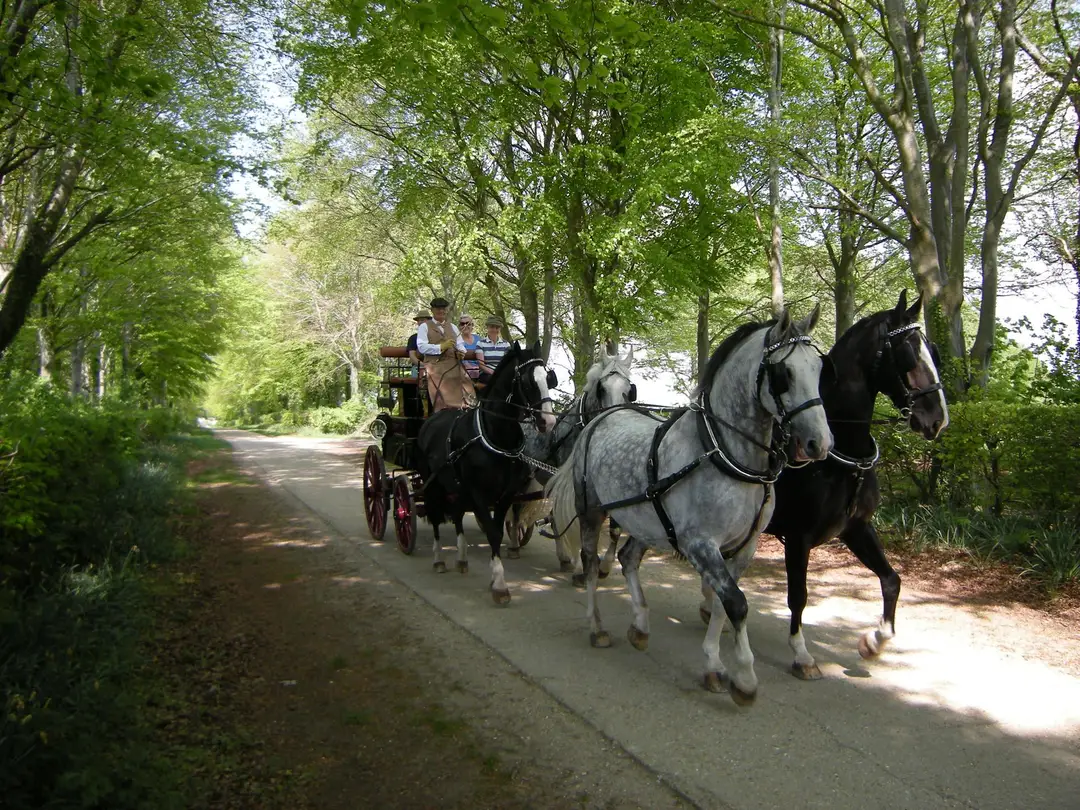 Rockbourne Ride