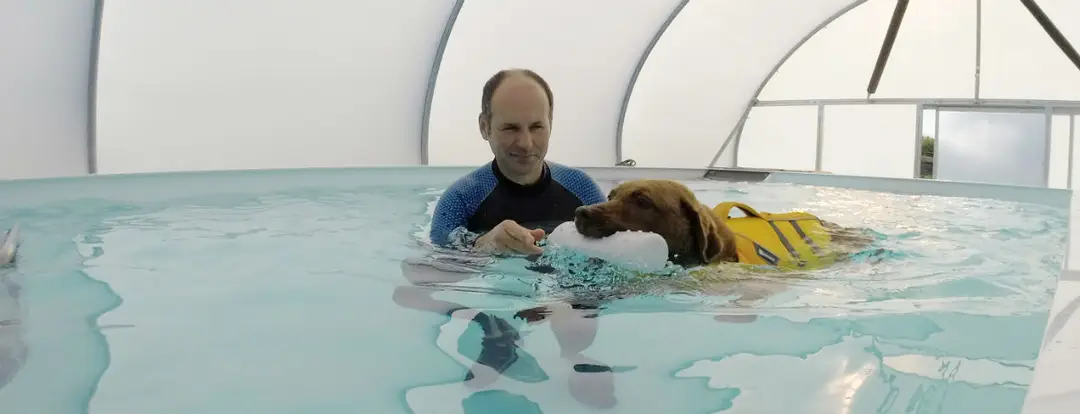South Lakes Canine Hydrotherapy