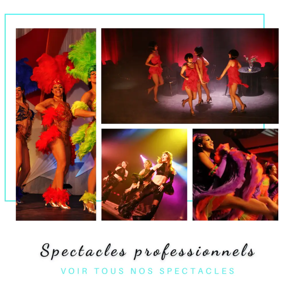 Company Et Ballet School Sylviaera