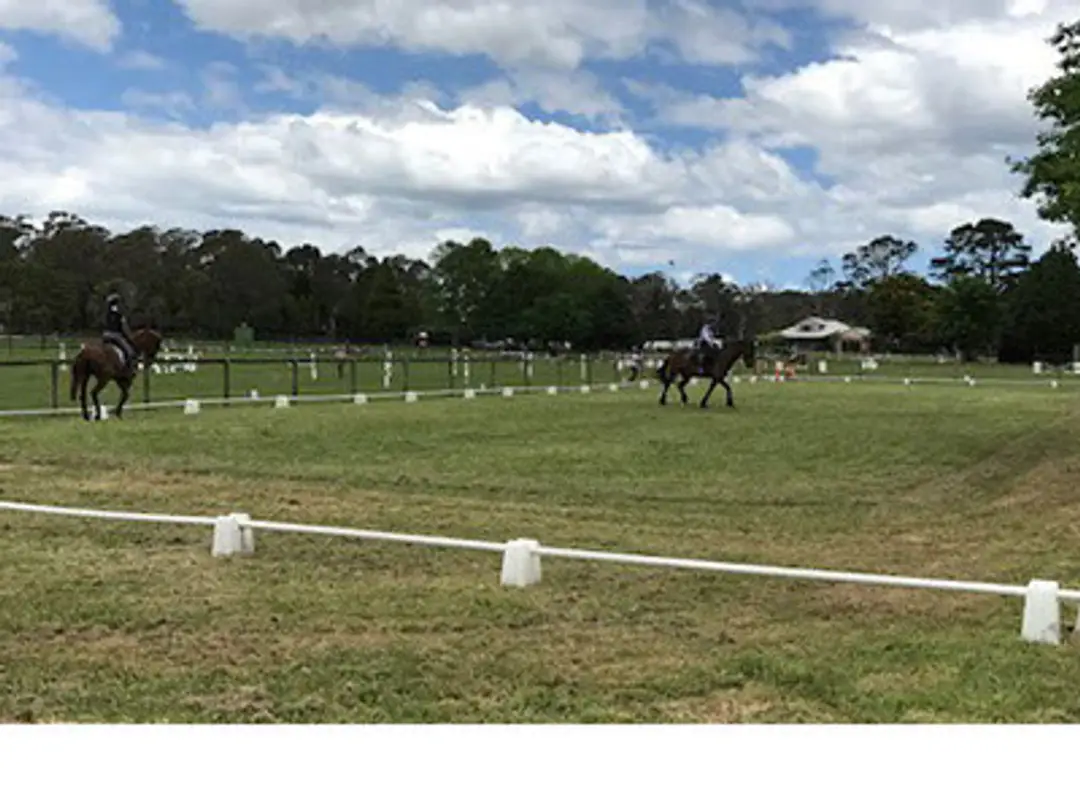 hollyhallhorseriding