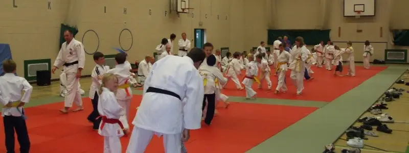 The Amateur Judo Association
