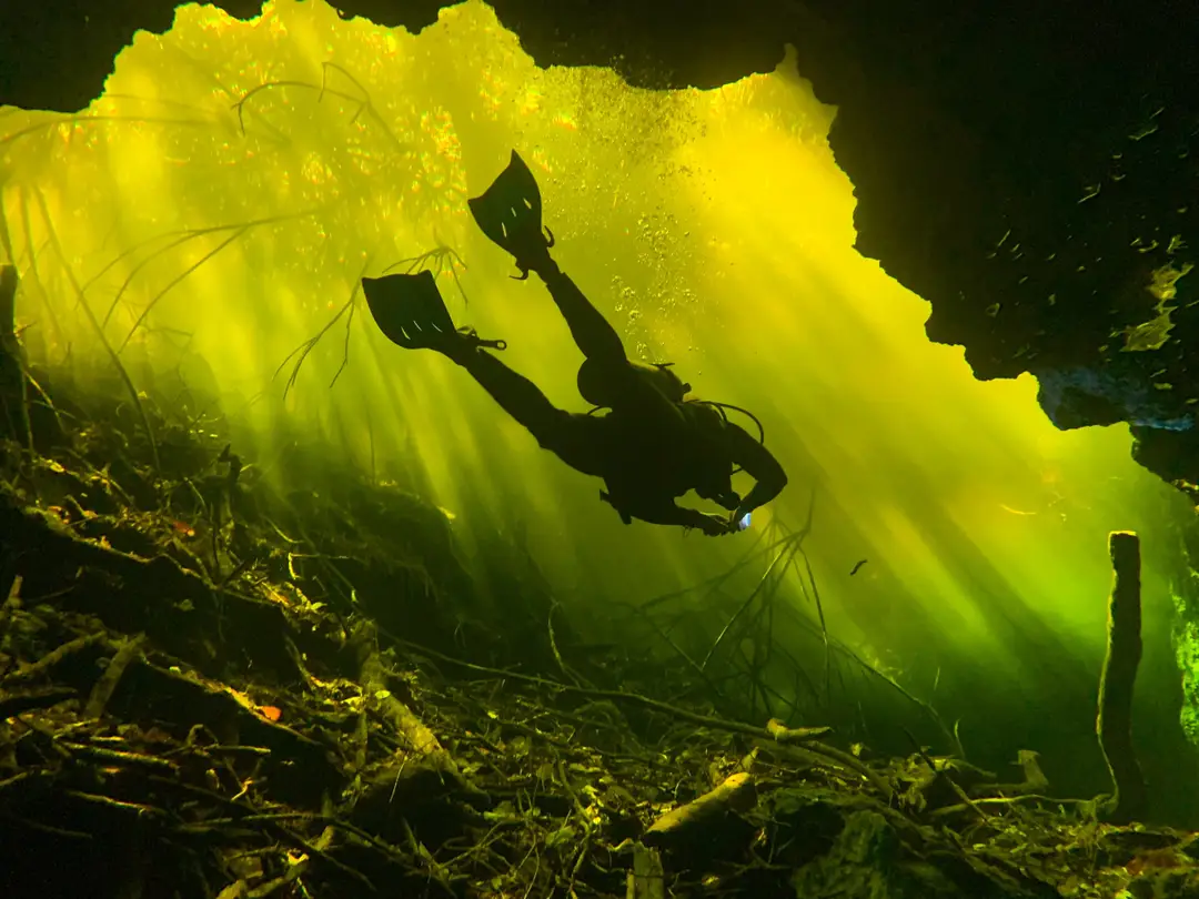 Diveworld Ltd
