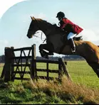 Bathley Hill Farm Livery