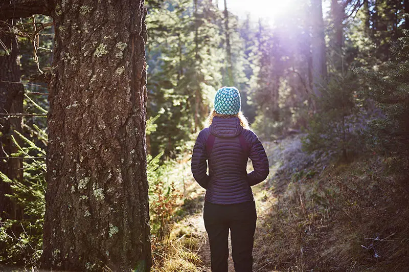 Forest Fix