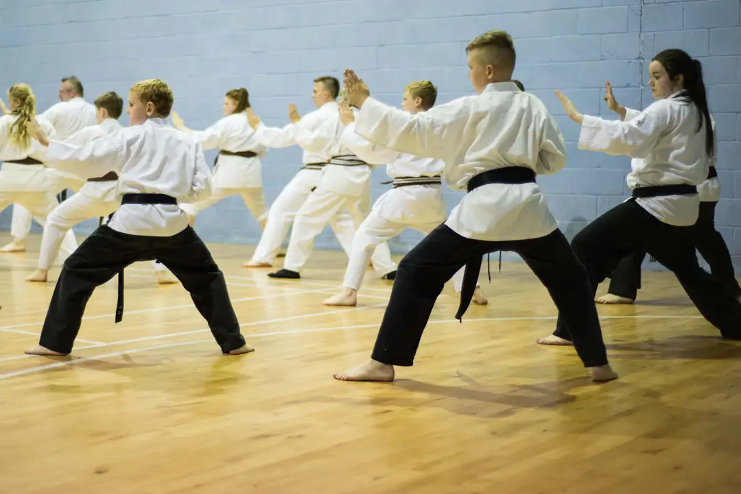 Shikari Karate Kai