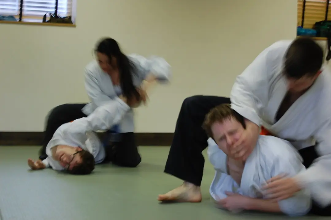 Goshin Ryu Atemi Jujitsu