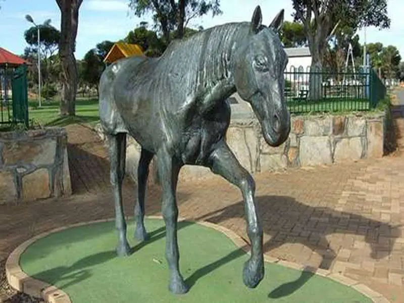 Norseman Swimming Pool