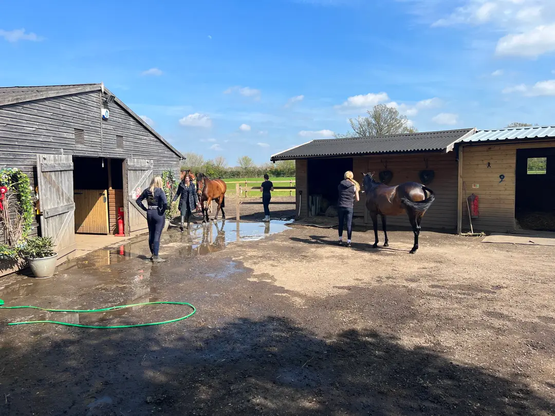 Helen Cowley Riding Academy