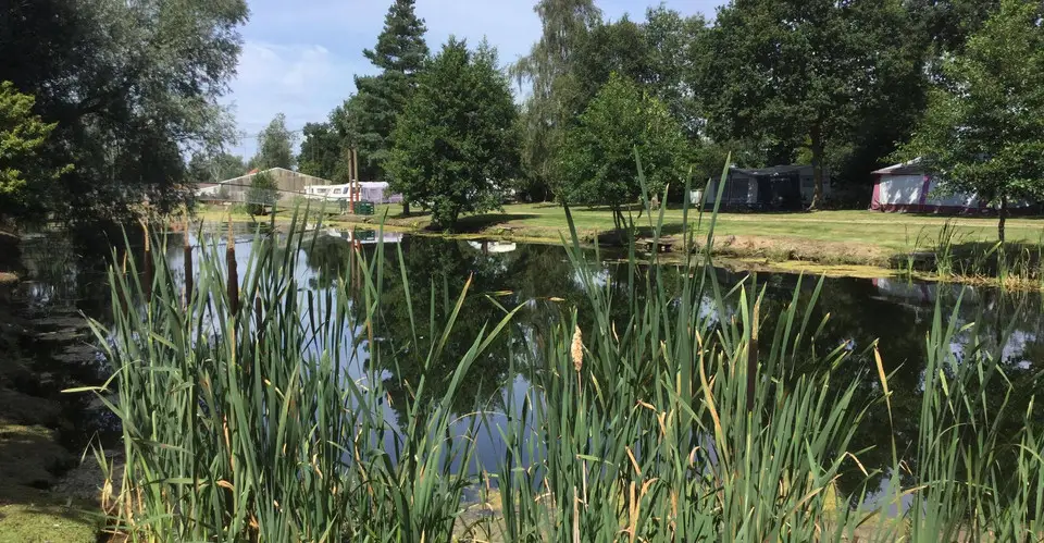 Mill Farm Camping
