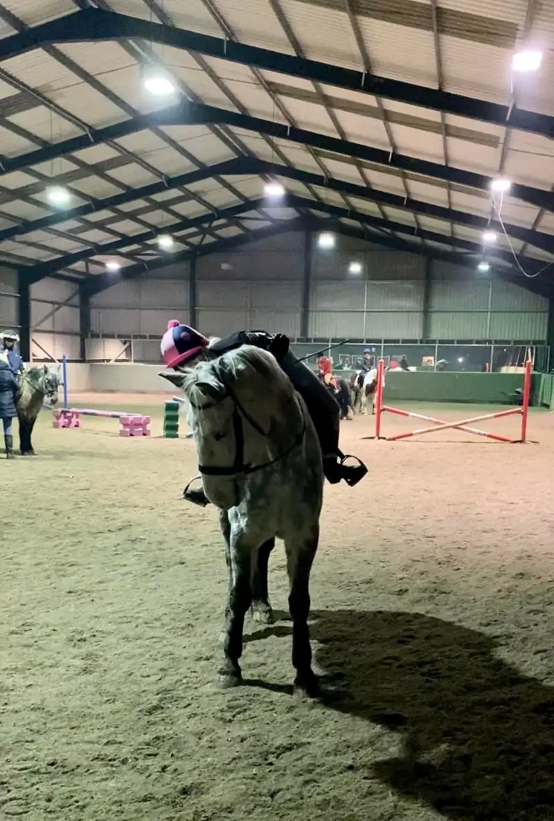 Broomhill Farm Equestrian Centre