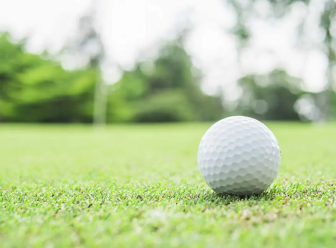 Peter Knight Golf
