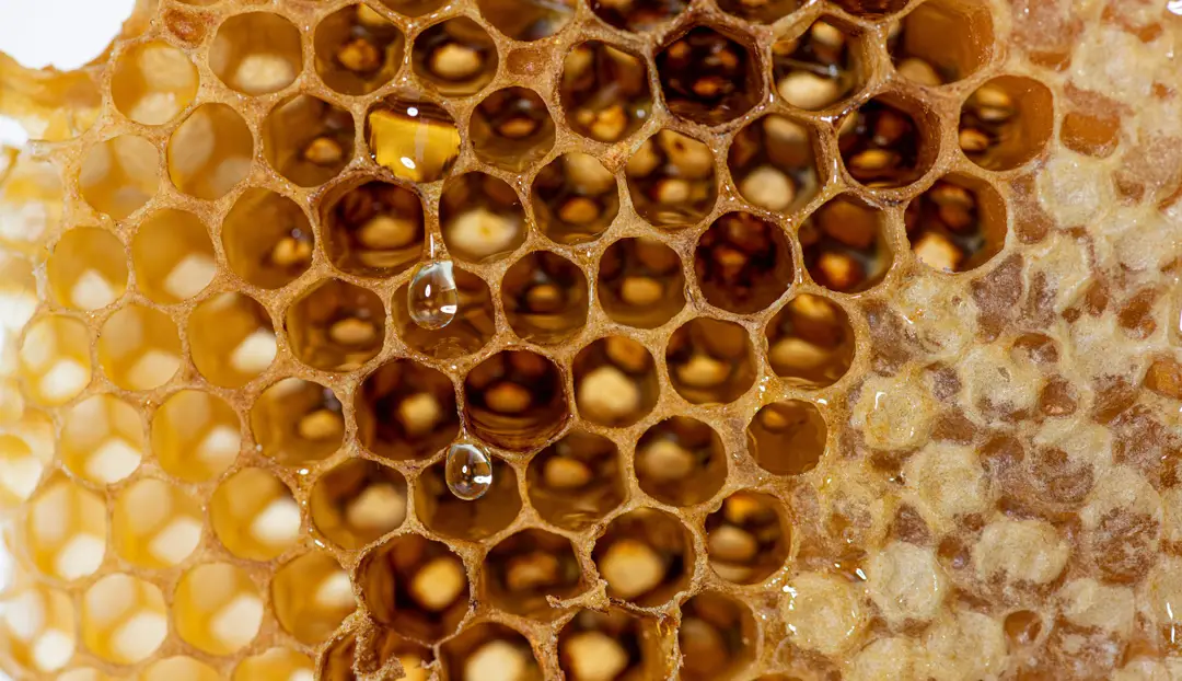 The BE Hive